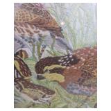 Framed Quail Wildlife Print Framed Quail Wildlife Print