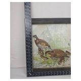 Framed Quail Wildlife Print Framed Quail Wildlife Print