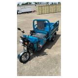Electric Cargo Tricycle IRET13