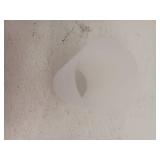 Moen DN0769 Iso Bath Lighting Replacement Globe, Frosted