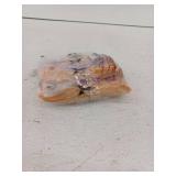 Brachs Fall Mellowcreme Candy Collection