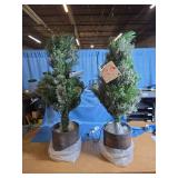Wondershop Potted Virginia Pine Pre-Lit Tree Set - Retail: $100