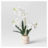 Luxe Orchid in Geometric Pot - Thresholdâ¢ - Retail: $30