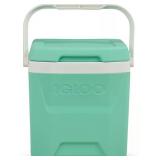 Igloos Hard Ice Chest, Insulated Cooler, Heavy-Duty, Portable, 12 Qt.