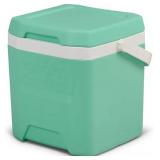 Igloos Hard Ice Chest, Insulated Cooler, Heavy-Duty, Portable, 12 Qt.