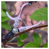 Botanical Kit: Shears & 8oz Mister, Indoor/Outdoor Gardening Tools