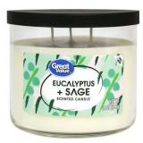 Great Value Eucalyptus & Sage Candle, 14 oz