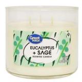 Great Value Eucalyptus & Sage Candle, 14 oz