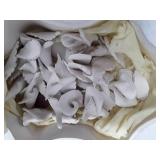 Vintage Ceramic Bisque Slip Casting Mold with Fragments