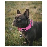 AUBELL Reflective Tactical Dog Collar,Adjustable Military Heavy Duty K9 Collars With Handle And Quick Release Metal Buckle Great For Large Dogs, 2 Patches (Pink,L)