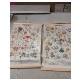 Chenkaiyang 2 Pcs Vintage Hanging Poster,Flowers Wall Hanging Botanical Rustic Retro Wall Art Prints Flower Chart Posterfor Living Room Decor,12.7 X 21.6 Inch-Needs Re-Glued at Top of 1