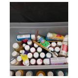 Art Bin Storage Container with Craft Paint Collection
