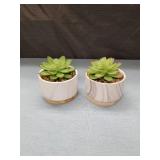 Marble Pattern Ceramic Succulent Planters Set
