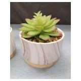 Marble Pattern Ceramic Succulent Planters Set
