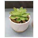 Marble Pattern Ceramic Succulent Planters Set