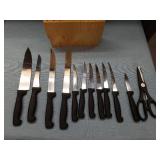 Professional Kitchen Knife Set with Wooden Block