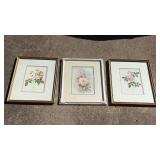 Set of 3 Framed Pink Rose Botanical Prints - Retail: $45