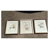 Set of 3 Framed Pink Rose Botanical Prints - Retail: $45