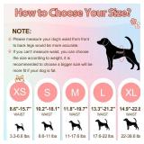 Ambreview Disposable Dog Diapers Female, Just Pull It Up, Doggie Diapers For Female Dogs, Strong Absorbency | Leak Proof, For Dogs In Heat | Elderly | Disabled, M 10 PCS