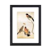 3x4 Picture Frame, Black Metal Photo Frames With HD Glass, Fits 2x3 With Mat Or 3 x 4 Without Mat, Display For Wall And Table, 1 Pack