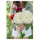 Briful Autumn Artificial Chrysanthemums Ball Flowers 6 Large Heads Mums Stems Cream White Fake Hydrangea Flowers Bridal Wedding Bouquet for Home Garden Party Wedding Decoration, Set of 4