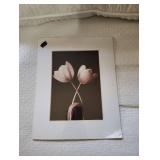 Anastasia Allen Canvas Art (14x11) & Two 8x10 TULIP PRINTS Anastasia Allen Canvas Art (14x11) & Two 8x10 TULIP PRINTS