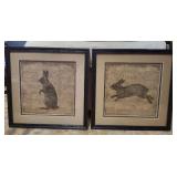 Coordinating Pictures of Rabbits Coordinating Pictures of Rabbits