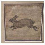 Coordinating Pictures of Rabbits Coordinating Pictures of Rabbits