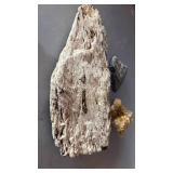 GEOLOGICAL SPECIMENS GEOLOGICAL SPECIMENS