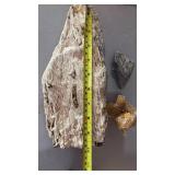 GEOLOGICAL SPECIMENS GEOLOGICAL SPECIMENS