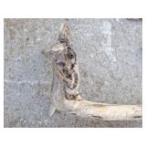 Walking Sticks To Finish Carving Walking Sticks To Finish Carving