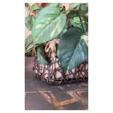 HANGING METAL FLOWER HOLDER AND FAUX GRAPEVINE PLANT BASKET HANGING METAL FLOWER HOLDER AND FAUX GRAPEVINE PLANT BASKET