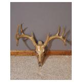 SKULL AND ANTLERS PAINTED GOLD SKULL AND ANTLERS PAINTED GOLD