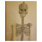 Halloween Wind Sock/Hanger, Glow in the Dark Skeleton, Dog Costumes, Treat Buckets, and B/O Stay Away Sign