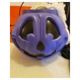 Halloween Wind Sock/Hanger, Glow in the Dark Skeleton, Dog Costumes, Treat Buckets, and B/O Stay Away Sign