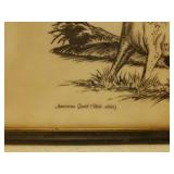 Vintage Framed Wildlife Prints - Black & White is Signed by Artists, and Deer Antler