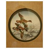 Vintage Framed Wildlife Prints - Black & White is Signed by Artists, and Deer Antler