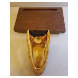 Genuine Alligator Head Taxidermy Show Piece with Solid Oak Presentation Base/Shelf - Head is 7.5in L, Shelf Measures 10in L x 6.25in D