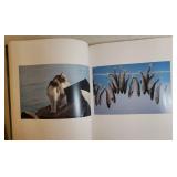 Good Kitty/Bad Kitty Photo Holder, Santa Kitty Holder/Easel, Mini Pottery Cat Coaster, and Book of The Mediterranean Cat