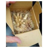 YN HI FLOWER Natural Dried Flower Wall Hanging, Pampas Grass Decor,35-Inch Boho Pampas Grass, Pink Bunny Tails, Palm Leaves, Wedding Arch Decor - Retail: $33 YN HI FLOWER Natural Dried Flower Wall Hanging, Pampas Grass Decor,35-Inch Boho Pampas Grass, Pink Bunny Tails, Palm Leaves, Wedding Arch Decor - Retail: $33