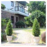 $258 ECOLVANT Two 3ft Artificial Topiary Trees