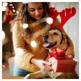 Maca Bates Christmas Dog Collar with Cute Solid Sailor Bow Tie