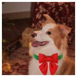 Maca Bates Christmas Dog Collar with Cute Solid Sailor Bow Tie