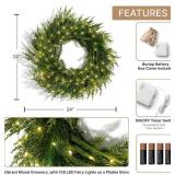$80 LampLust 24" Winter Wreath, LED Lights, Battery, Indoor/Outdoor