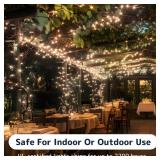 PREXTEX 100 Clear Christmas Lights, 20ft, Green Wire