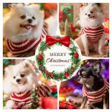 Red Striped Santa Dog Xmas Sweater (XL) - DOGGYZSTYLE