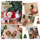 Red Striped Santa Dog Xmas Sweater (XL) - DOGGYZSTYLE