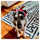 Handmade Dog Christmas Antlers, Anti-Slip Reindeer Headband