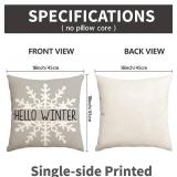 $50 Christmas Pillow Cover, Sofa Cushion-N20 (17.72 x 17.72 in)