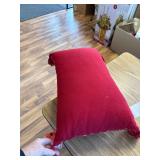 Lunar New Year Of The Snake Beaded Decorative Pillow